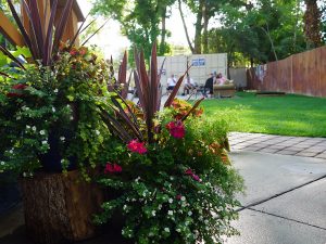 flowers01